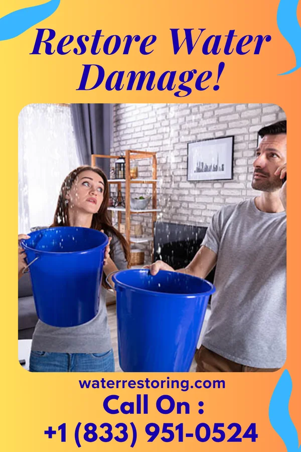 water restoration Vigilant Damage Recovery Masters Silver Lake